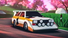 art of rally