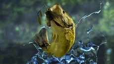 Fishing Planet