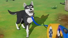 My Dog Life: Puppy Island Park