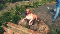 Thief Dog