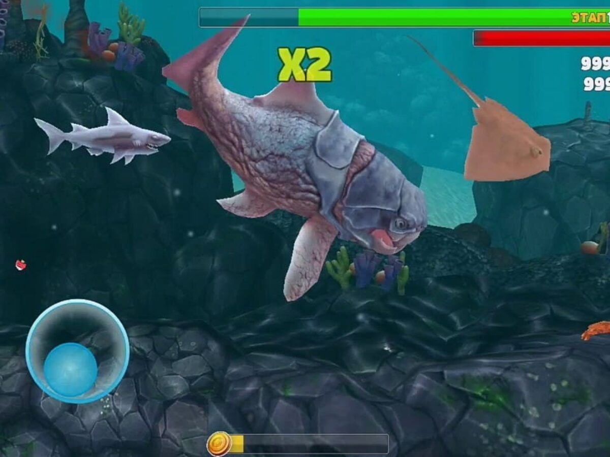Hungry shark world деньги и кристаллы. Hungry Shark Evolution 7.2.0. Мод на акул. Hungry Shark мод много денег. Hungry Shark моды.